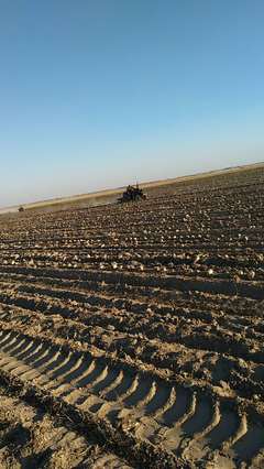 開魯縣農機銷售與價格概況 助力現代農業發展