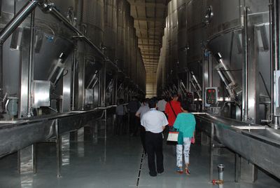 武威 中國葡萄酒旅游新領地的崛起與機遇